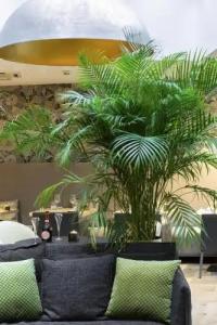 Edgar Hôtel & Spa - Table Gastronomique - 16