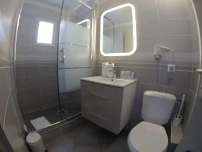 Les Palmiers En Camargue - 8