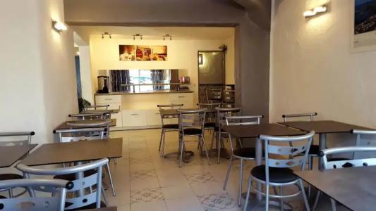 Les Palmiers En Camargue - 24