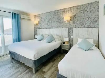 Les Palmiers En Camargue - 60