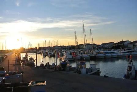 Les Palmiers En Camargue - 19