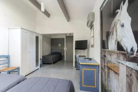 Les Palmiers En Camargue - 37