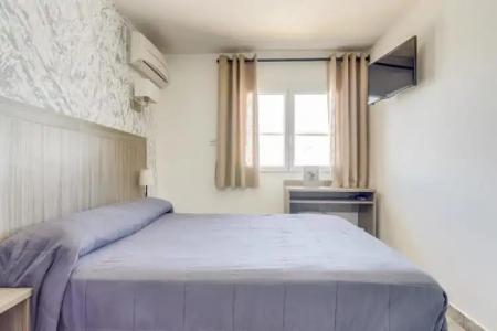 Les Palmiers En Camargue - 39