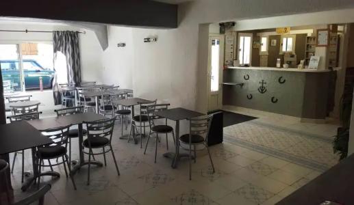 Les Palmiers En Camargue - 23