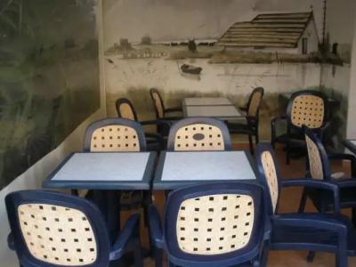 Les Palmiers En Camargue - 25