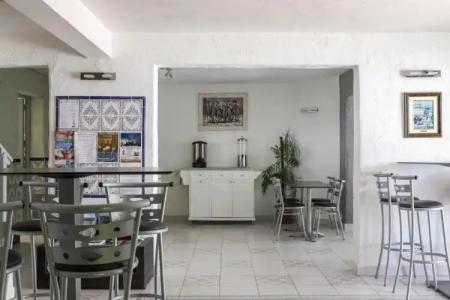 Les Palmiers En Camargue - 13