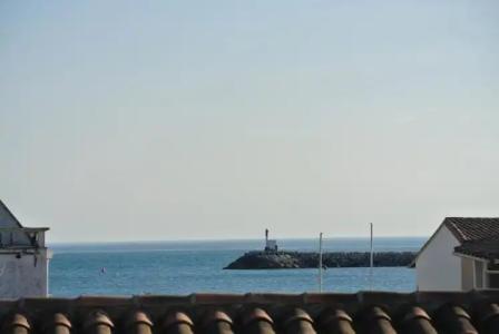 Les Palmiers En Camargue - 52