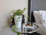 Standard Double room with street view