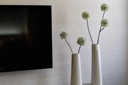 FirstName Toulouse - 79