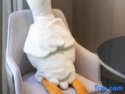 Hôtel des Beaux-Arts Toulouse - 82