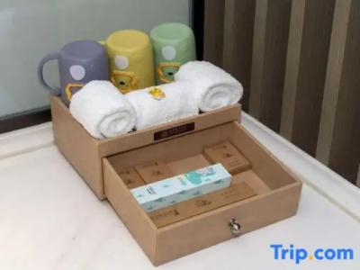 Hôtel des Beaux-Arts Toulouse - 90