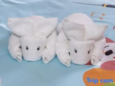 Hôtel des Beaux-Arts Toulouse - 92