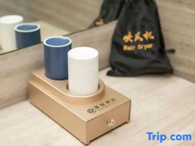 Hôtel des Beaux-Arts Toulouse - 68