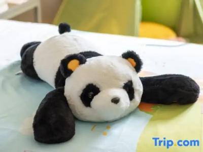 Hôtel des Beaux-Arts Toulouse - 87