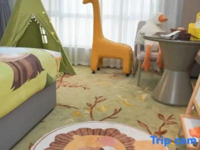 Hôtel des Beaux-Arts Toulouse - 85