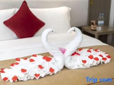 Hôtel des Beaux-Arts Toulouse - 143