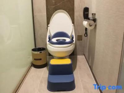 Hôtel des Beaux-Arts Toulouse - 84