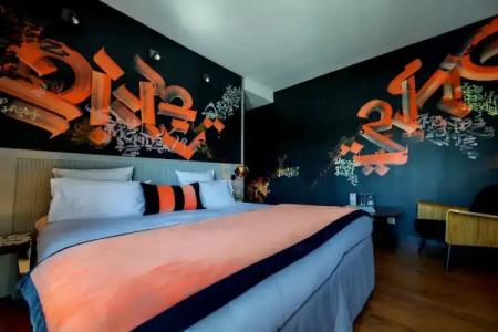 Hôtel des Beaux-Arts Toulouse - 110