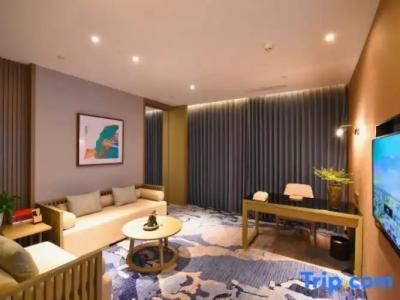 Hôtel des Beaux-Arts Toulouse - 223