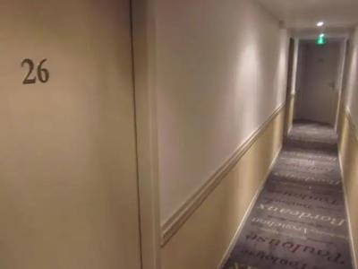 Ours Blanc - Wilson - 1