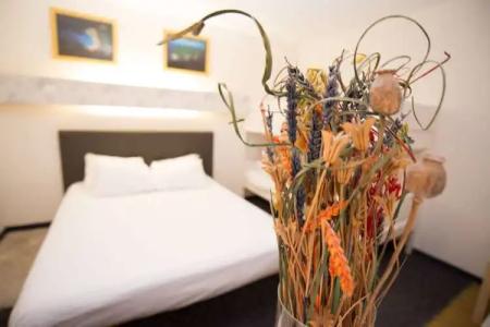 hôtel QUICK Palace Tours Nord - 13