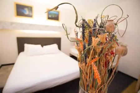 hôtel QUICK Palace Tours Nord - 3