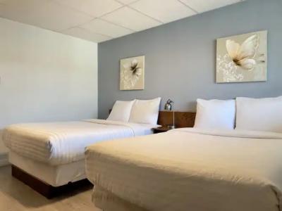 Departure Bay Motel - 29