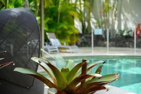 Noosa Tropicana - 76