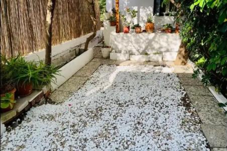 Semiramis Guesthouse - 83