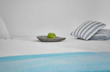 Finikia Memories - 41