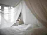 Split Level Double Suite