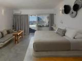 Presidential with Private Pool Double Suite
