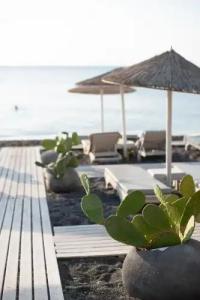 Afroditi Venus Beach & Spa - 0