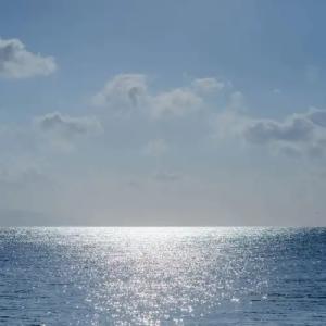 Afroditi Venus Beach & Spa - 37