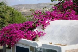 Paradise Resort, Akrotiri