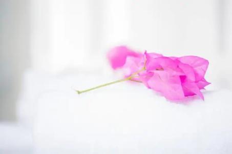 Paradise Resort - 67