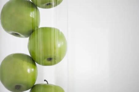 Paradise Resort - 80