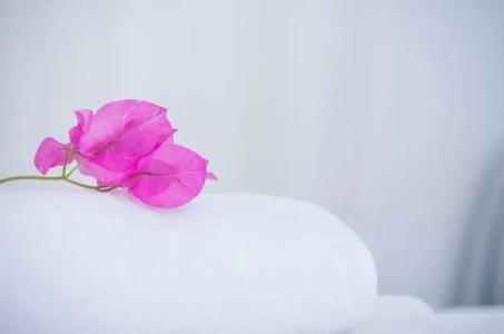 Paradise Resort - 115