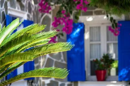 Paradise Resort - 17