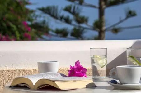 Paradise Resort - 90