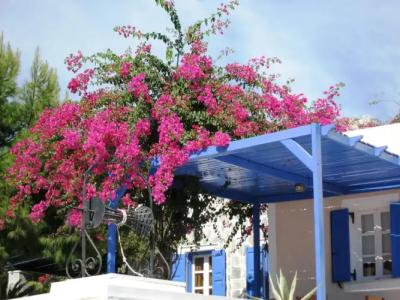 Paradise Resort - 43