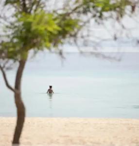 Antigoni Seaside Resort - 29