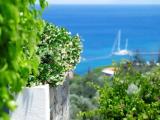 Standard Double room with balcony and with sea view