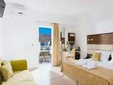 Superior room with balcony and with garden view