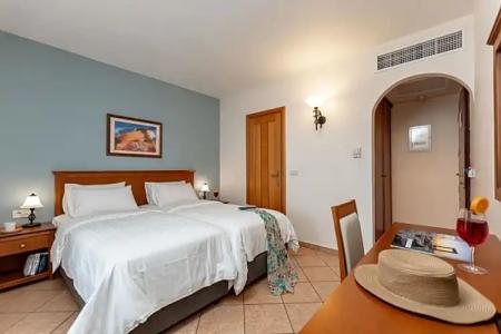 Naxos Resort Beach - 37