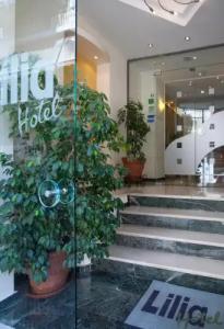 Lilia - 35