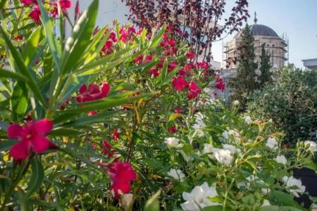 Kimon Athens - 62