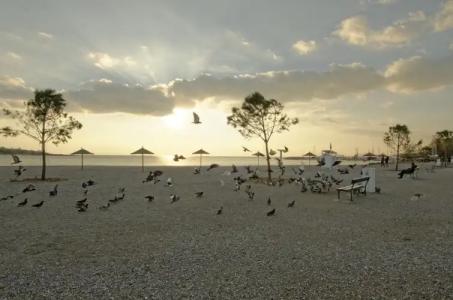 Palmyra Beach - 22