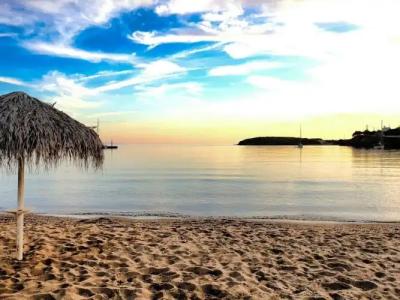 Chryssi Akti, Sure Collection - 23