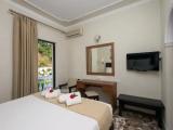 Standard Double room with mountain view